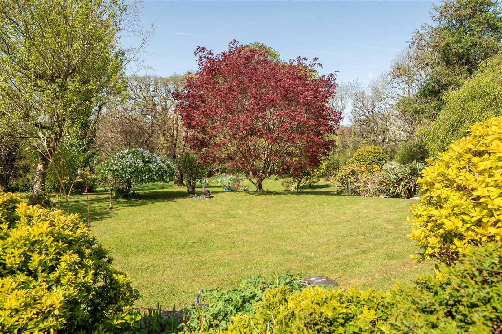Property Image 7ea48af2-fd98-49ec-a8ab-fa2b007c1dab