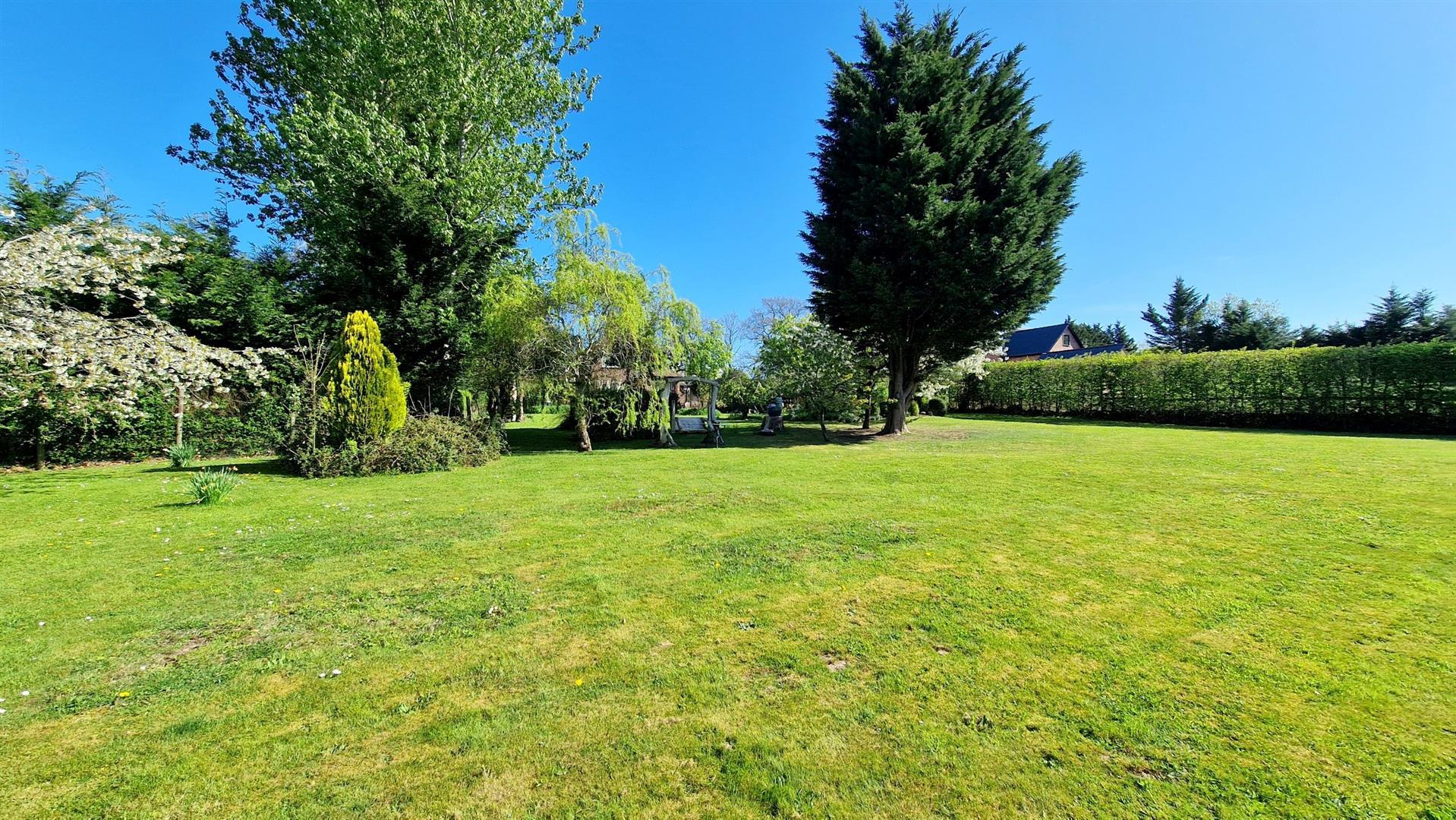Property Image 7ec4475b-e0b5-44d6-bc57-119128cc00a3
