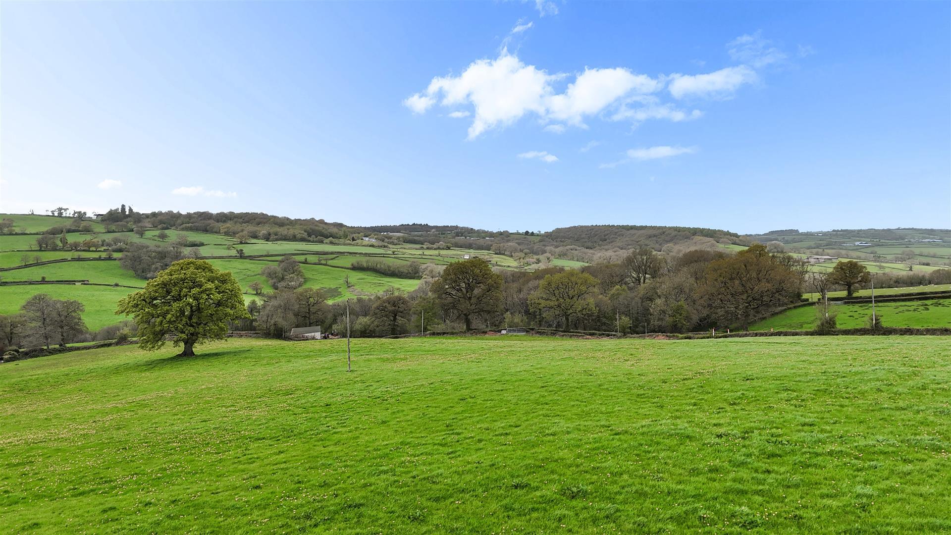 Property Image 7eeb8638-44e0-40cf-b230-4c8f6a9f4c92