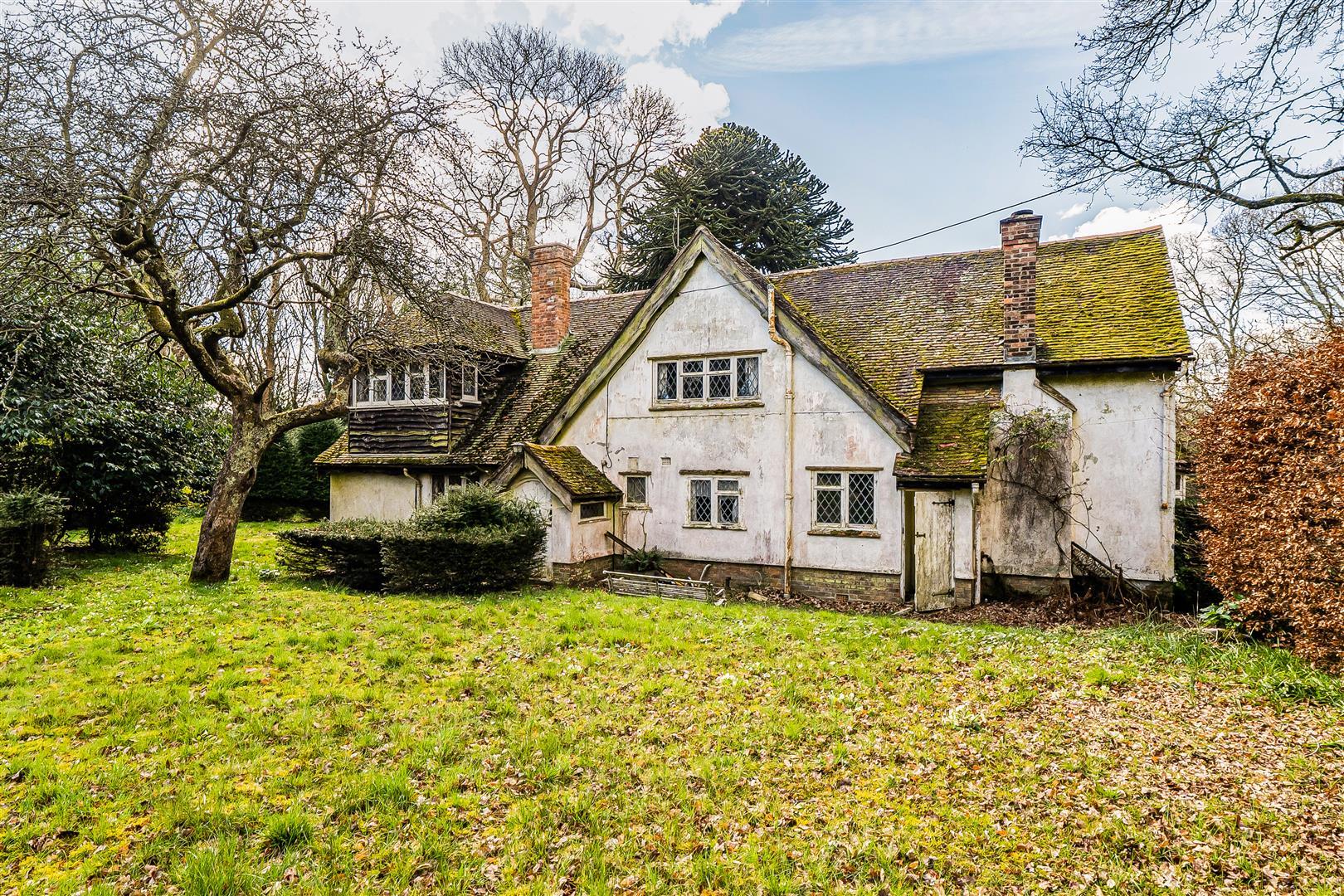 Property Image 7f1f4700-24d3-4f24-9f58-3b57e68a4457