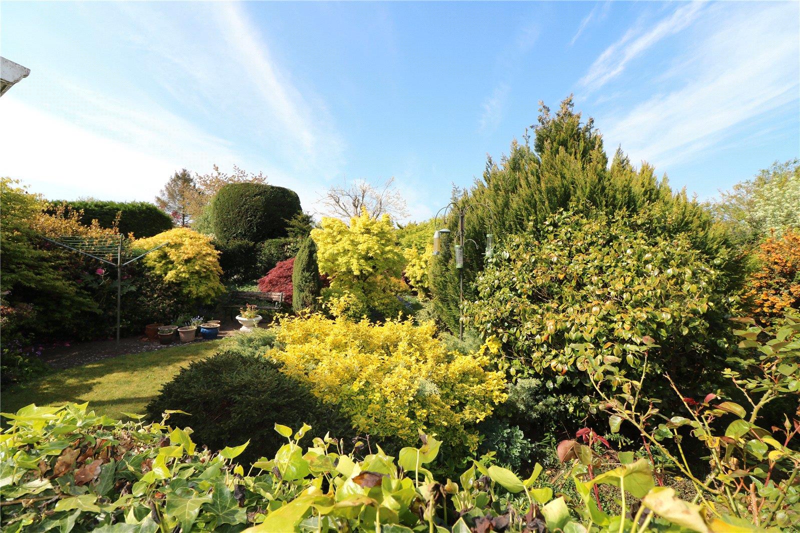 Property Image 7f45ba09-d1a0-46fb-a658-9da8e466f2dd