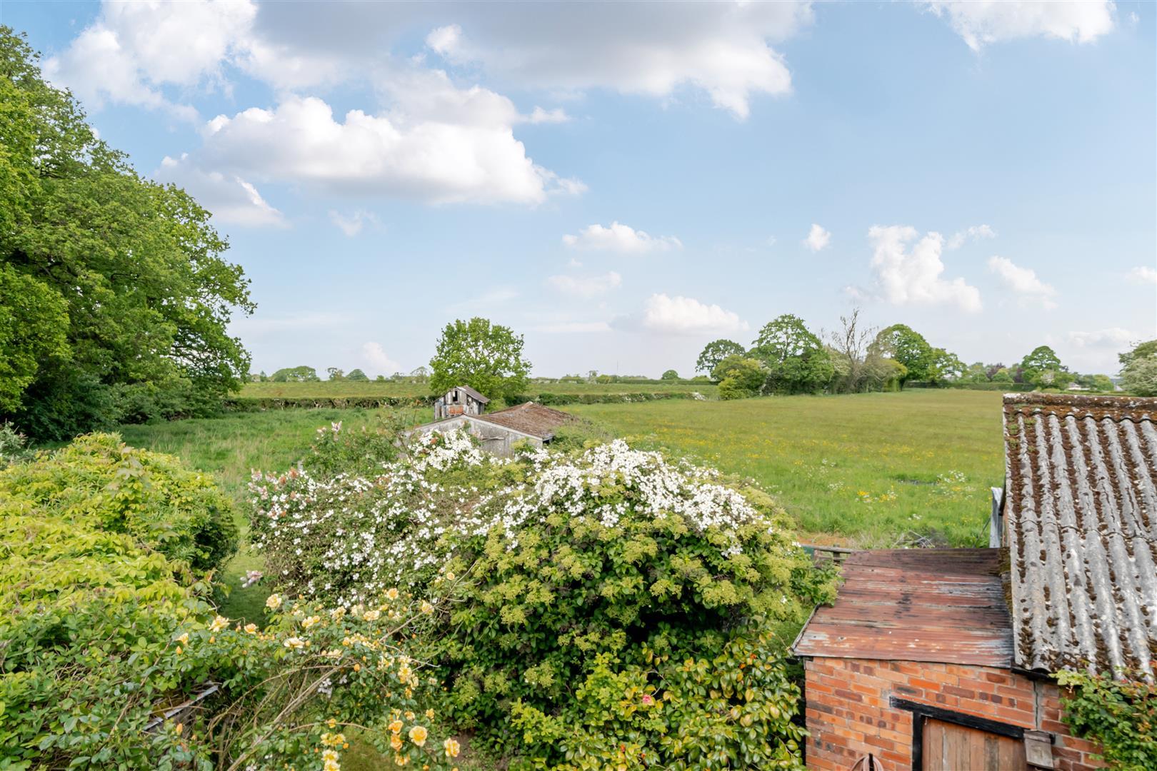 Property Image 7f501272-5541-475c-bbf3-35c1b819199c