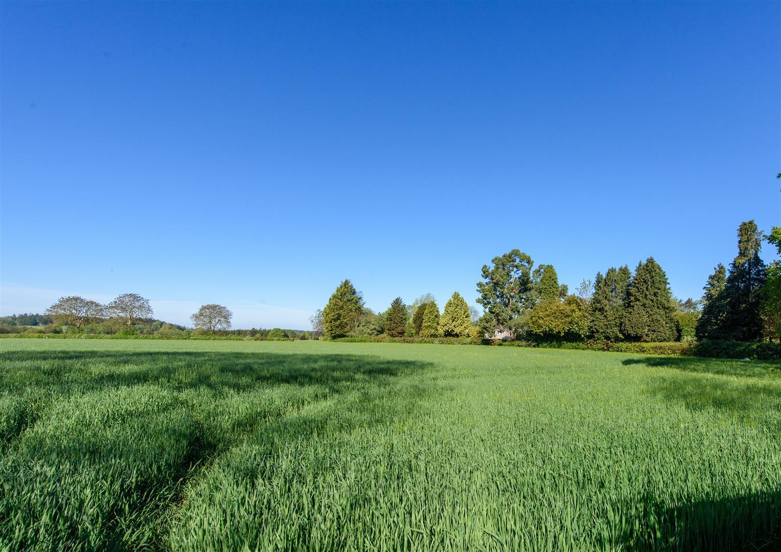 Property Image 7f548801-cabb-4ddf-be05-ee43537736a3