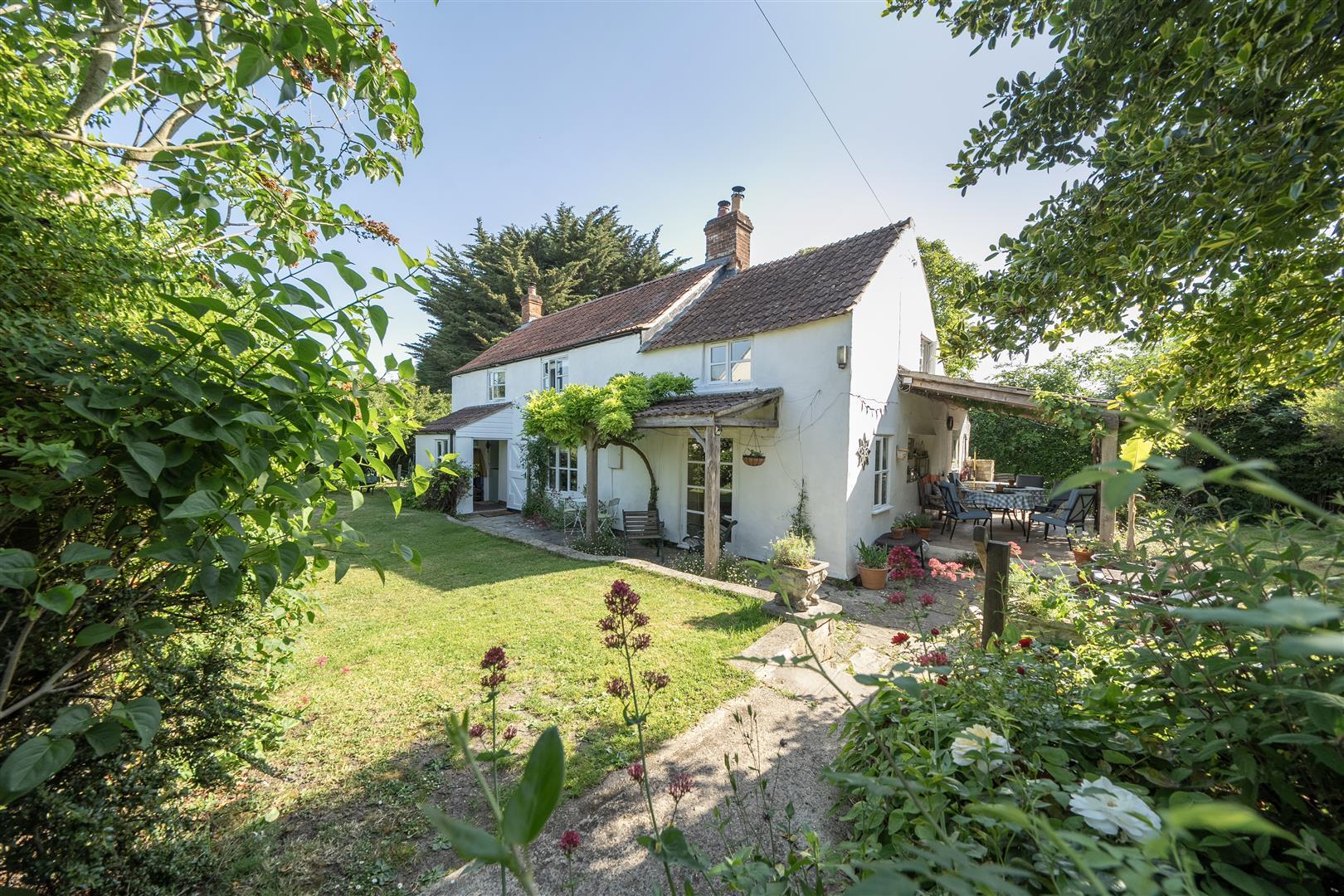 Property Image 7f7a5703-08af-479e-b154-7b0bb5fa2b0e