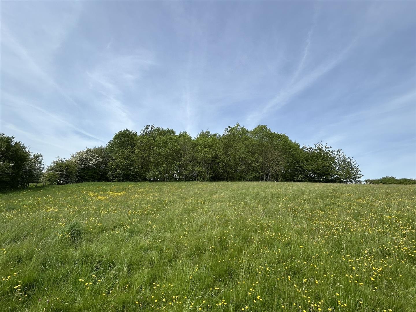 Property Image 7f7f1996-1336-442c-8fb7-a1285c6541ad