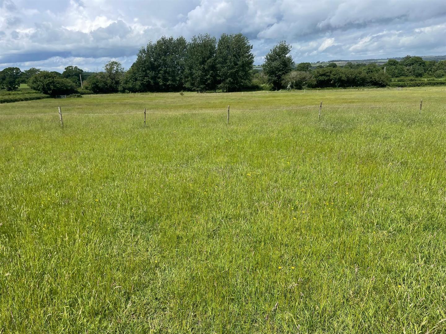 Property Image 7fd46f6e-3811-41fa-8e37-bb58944055b6