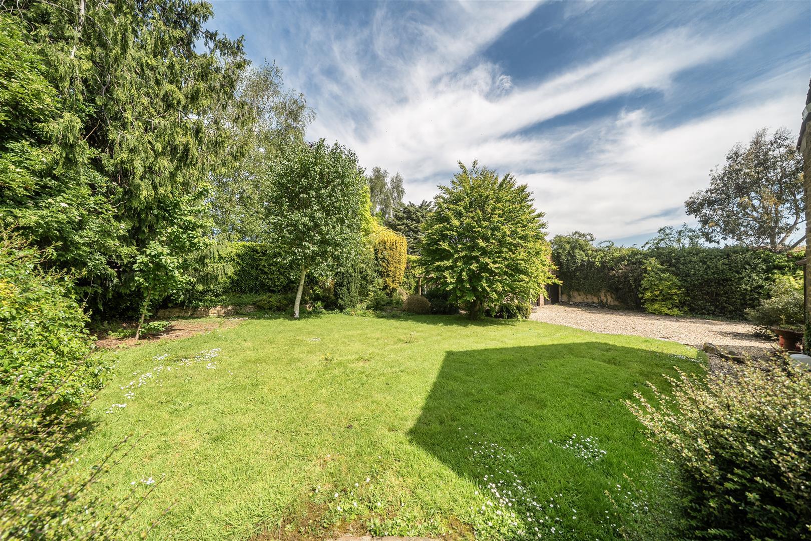 Property Image 8007cf1a-5133-4f30-ac7b-0e56b683a8f9
