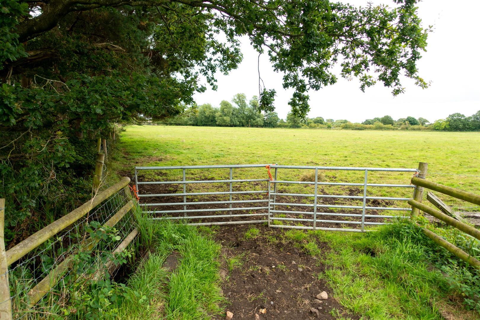 Property Image 80471835-7580-4b18-84ae-da83f8fee870