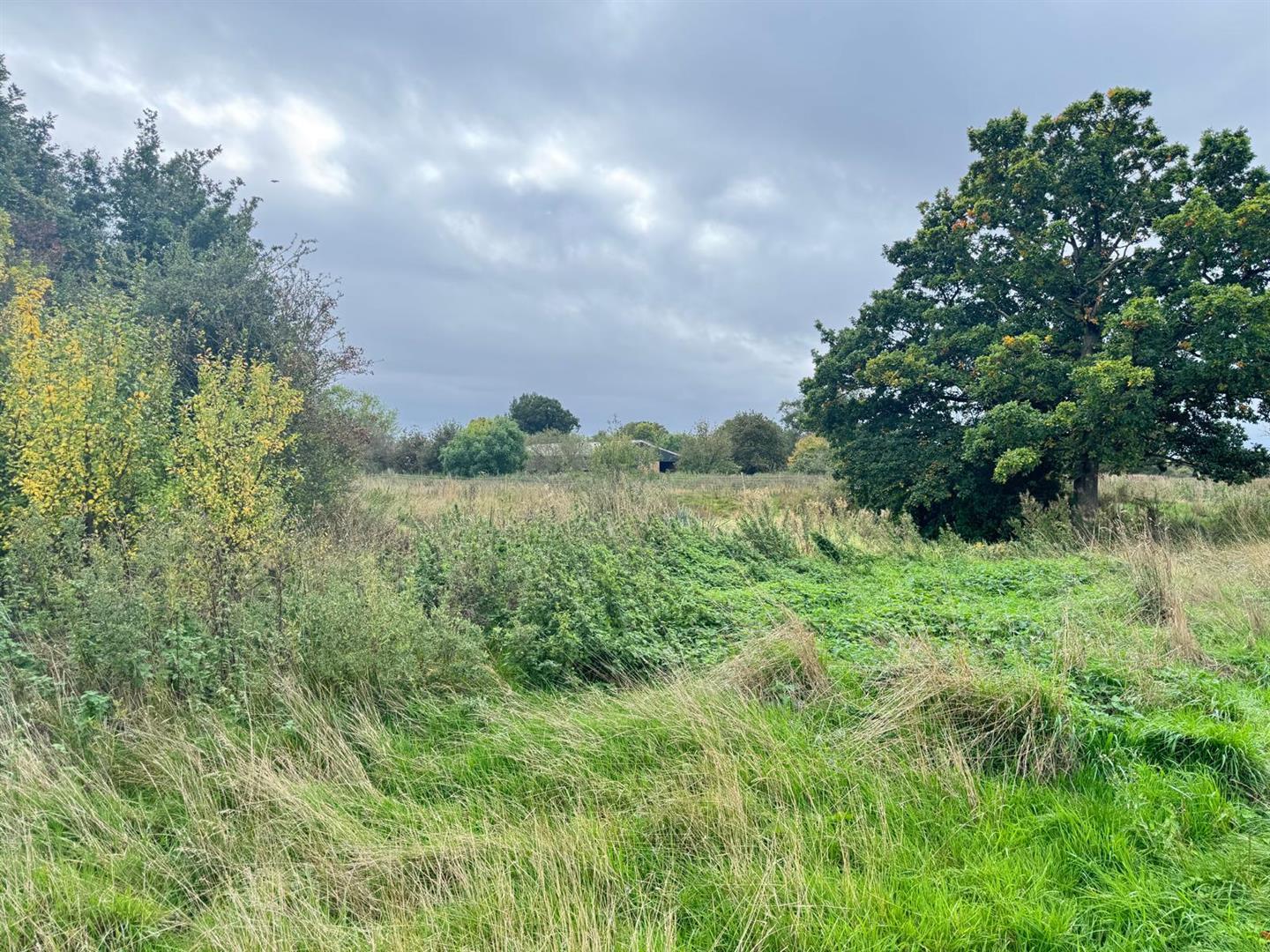 Property Image 808807b3-d9f2-4e47-a1ed-7810045010f4