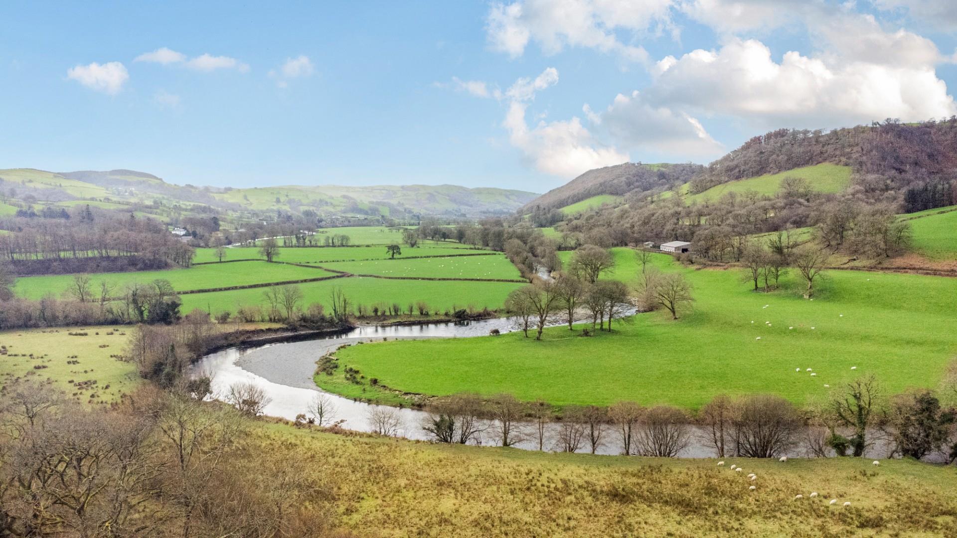 Property Image 80c606dc-a2d4-43ee-8dd0-4ad84a20a775