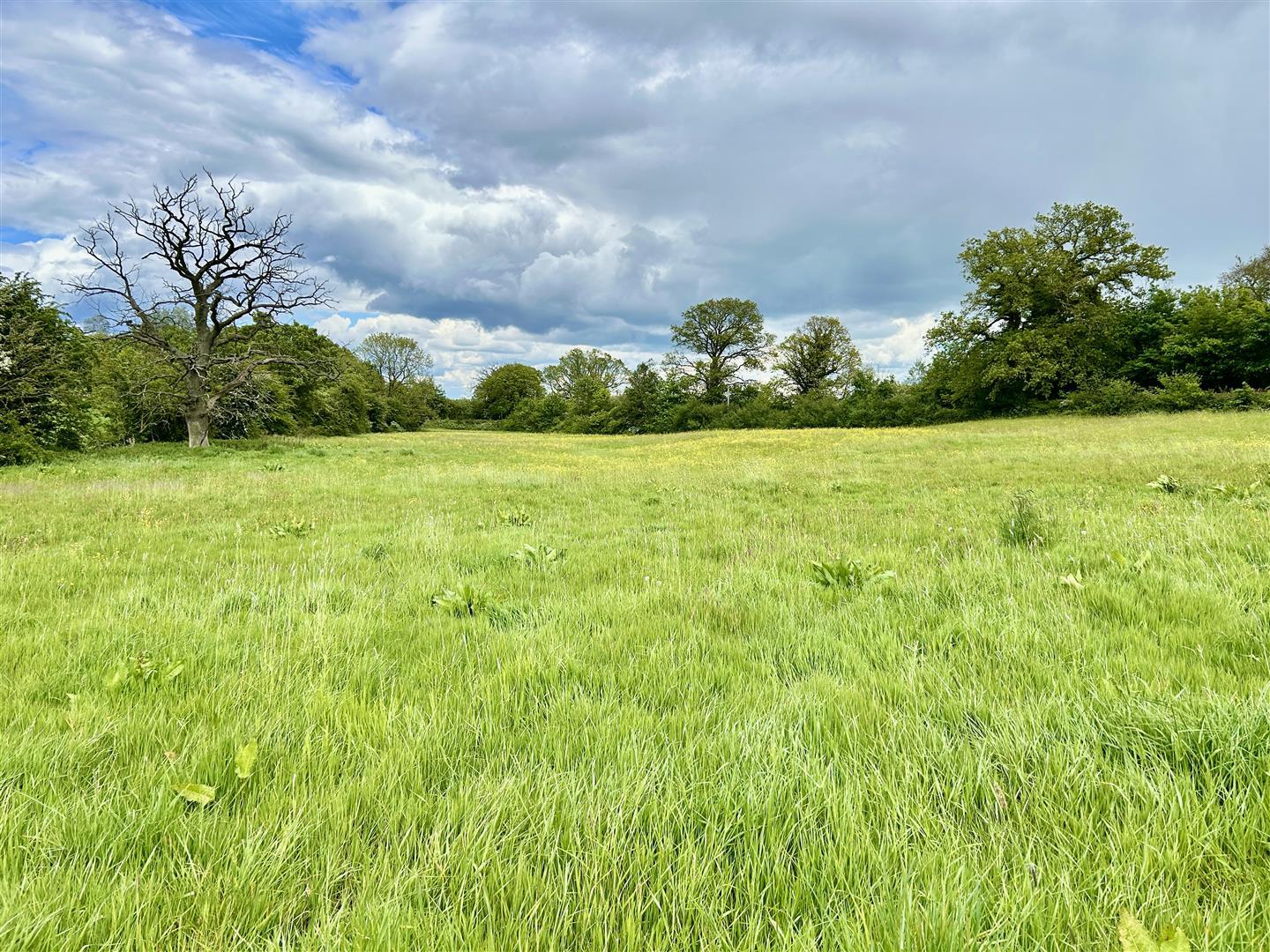 Property Image 80de625b-cf45-4788-a583-685525928949