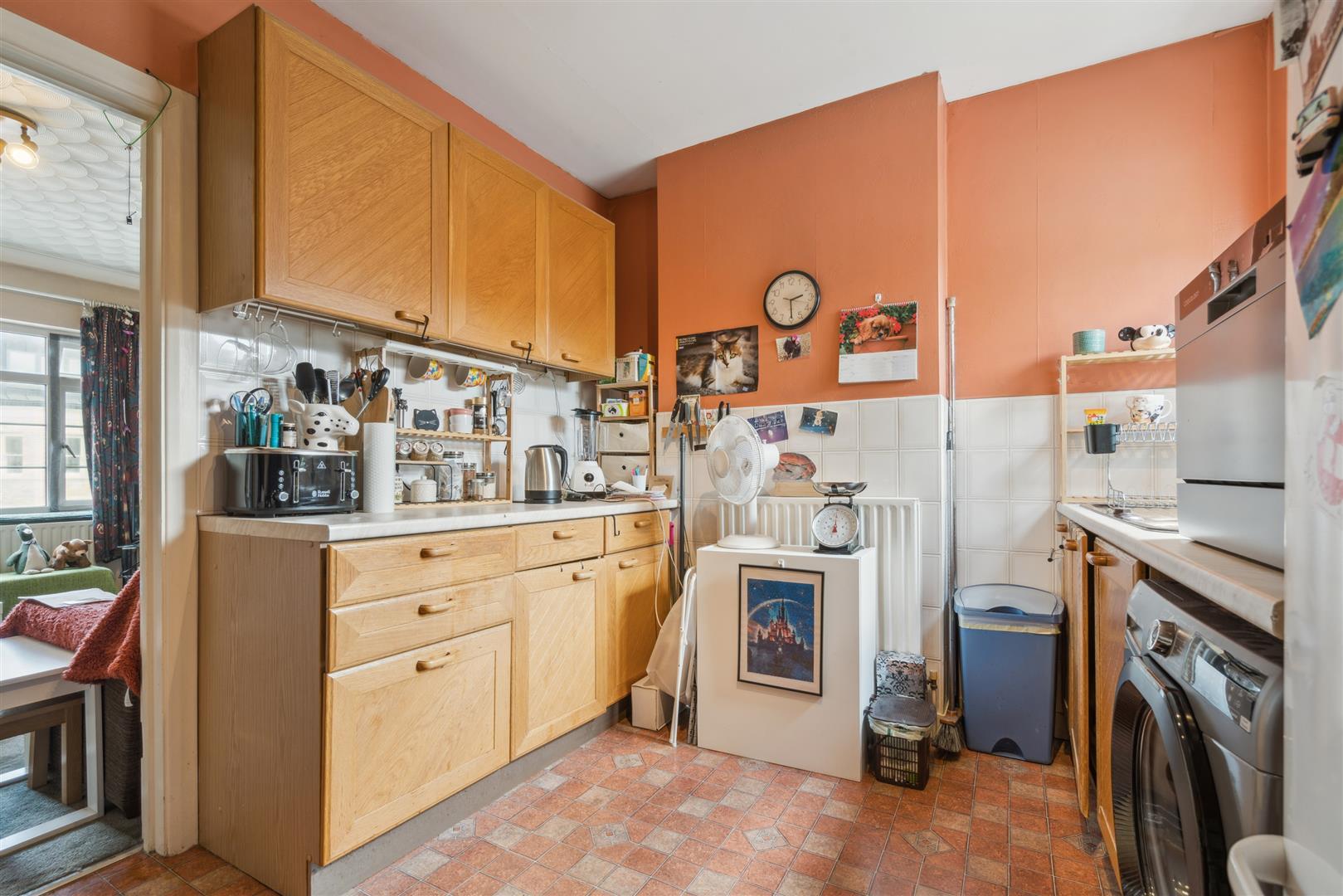 Image 5