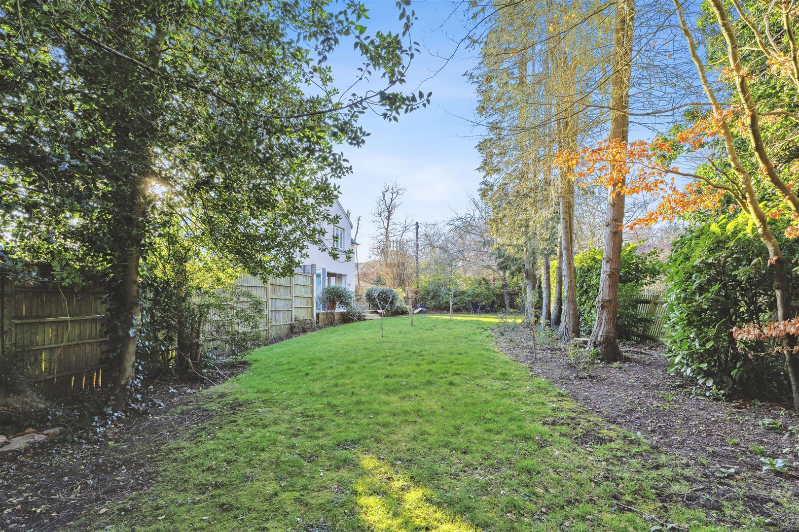 Property Image 810ecc3b-20f7-4881-8176-cea78d58d9c0