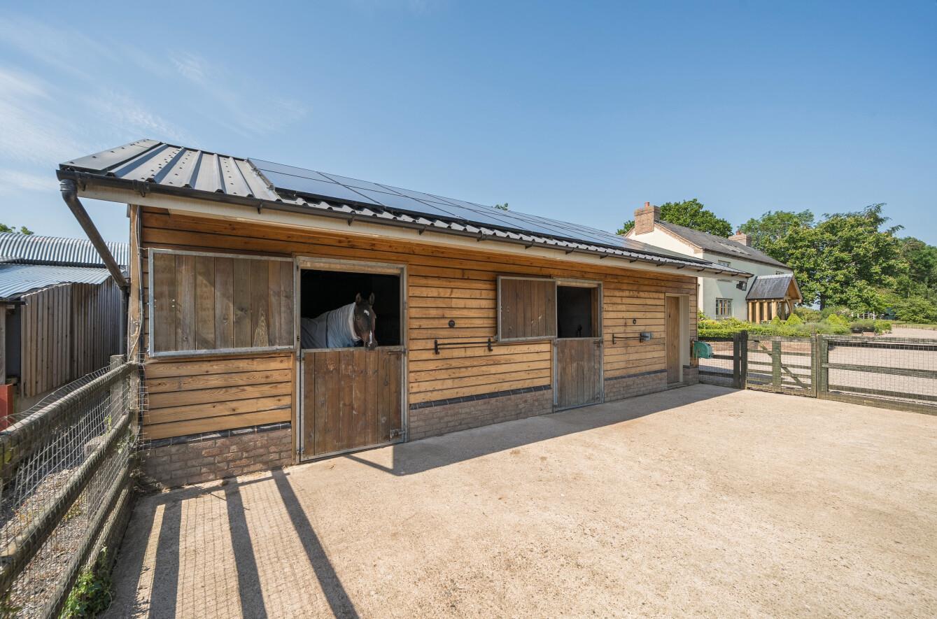 Property Image 811b7f8c-b8a3-4378-8137-8e9b434fa27d