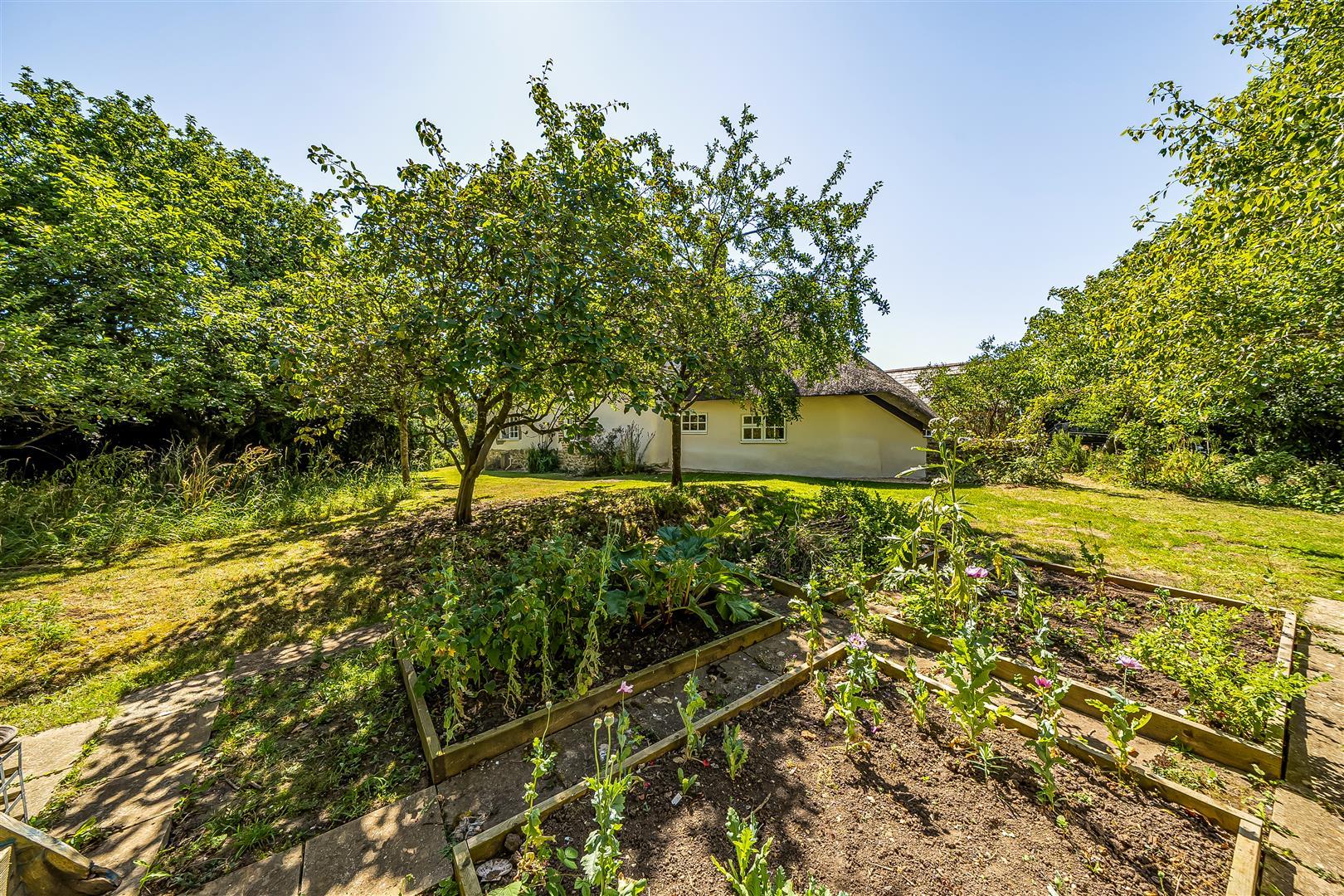 Property Image 816fdbef-397d-4098-b1e9-33e397e6b16e