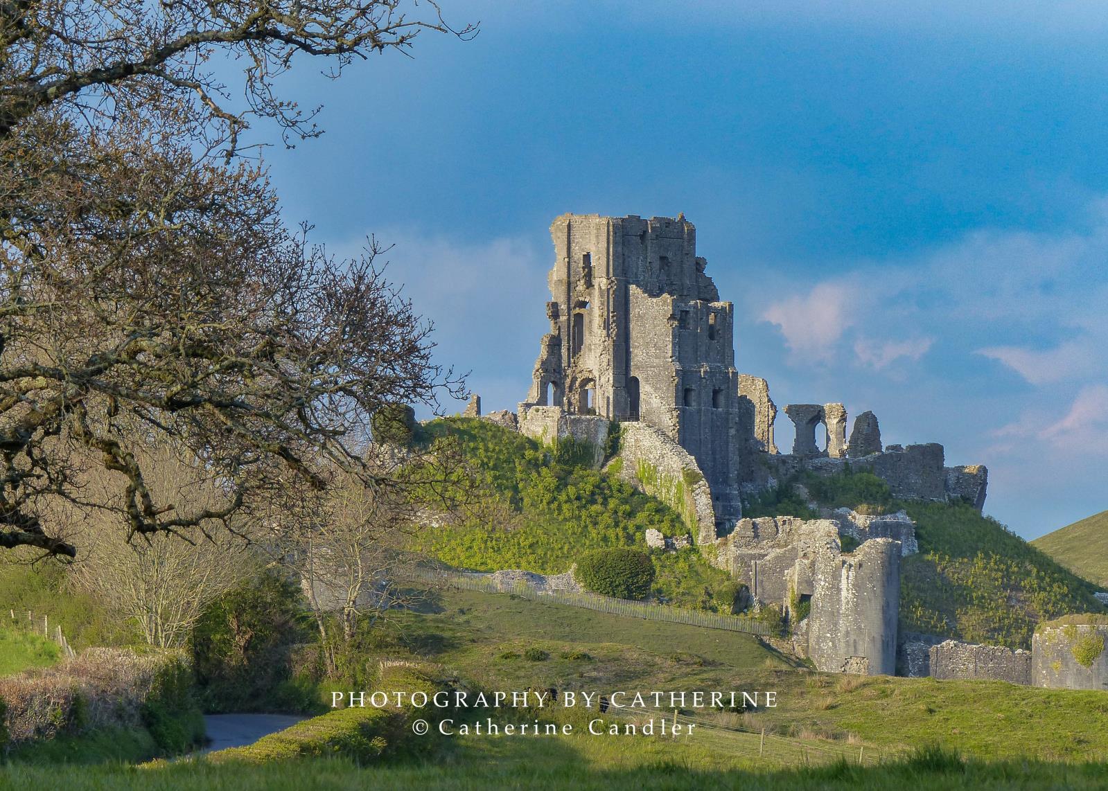 Property Image 81815b41-65a6-4bfa-9327-b87fa27302f5