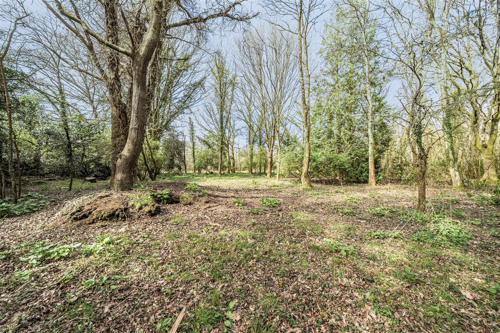 Property Image 819338d6-dd9c-4b50-b4c7-0e44556c35cf