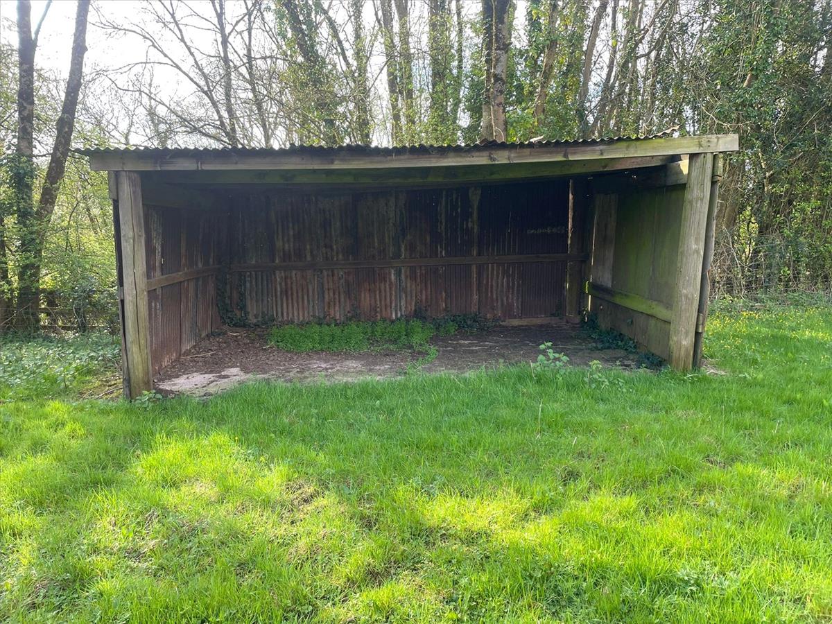 Property Image 8195f509-0390-4cd4-8c23-c90807a03f6f