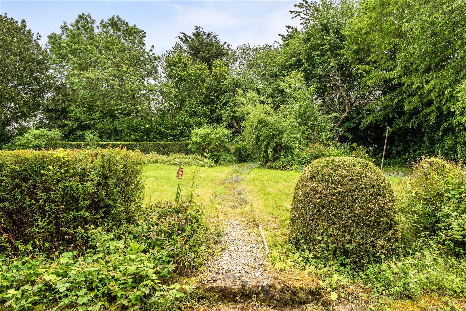 Image 17