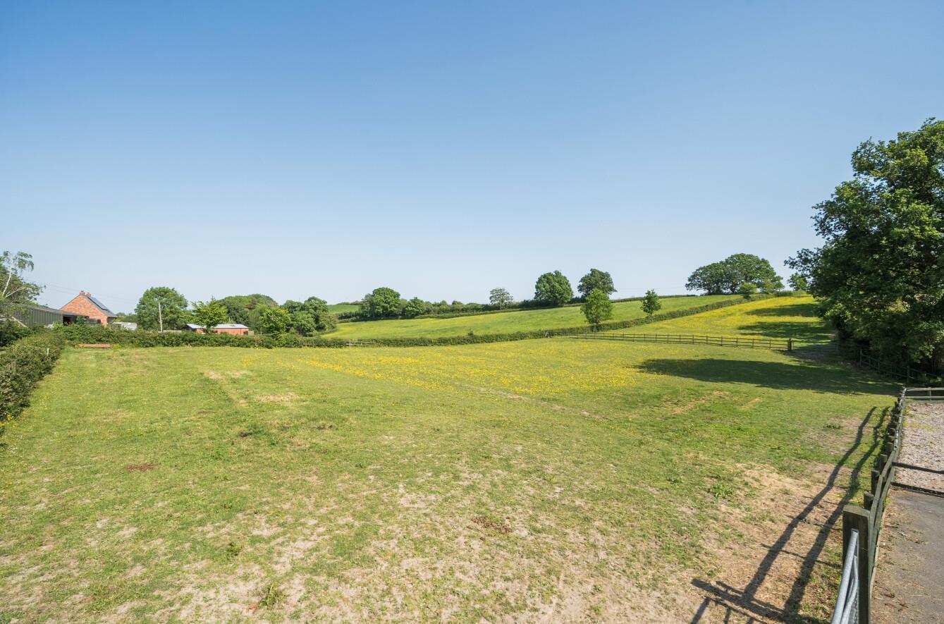 Property Image 81cfee0c-0678-44b5-9720-5cd4ceb7ec53