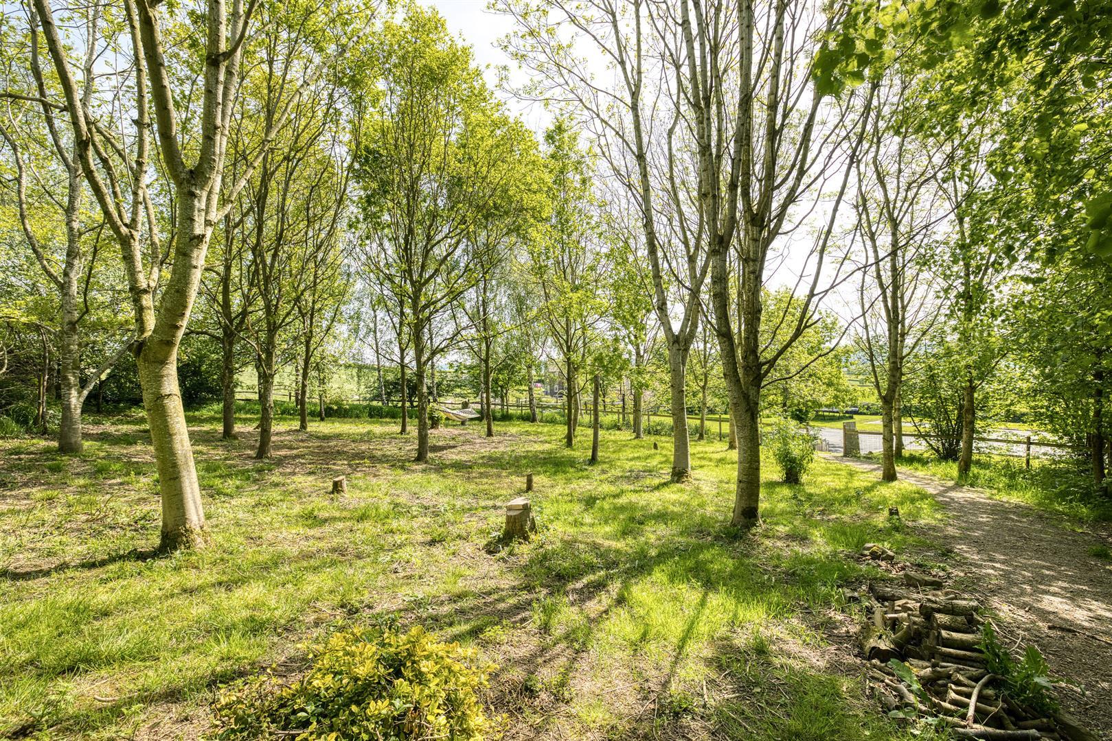 Property Image 81d5ae13-ce93-4c7d-9974-0990592f05cf