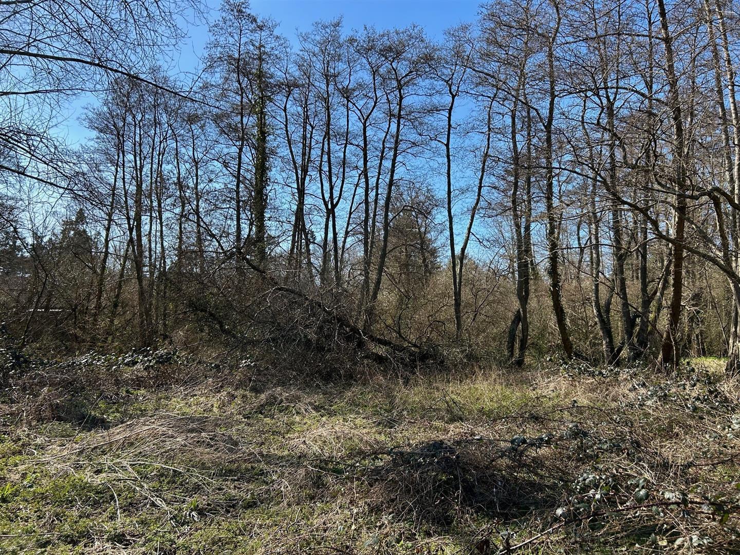 Property Image 821fb63a-4ed0-4820-8f6b-46c0821f3c9c