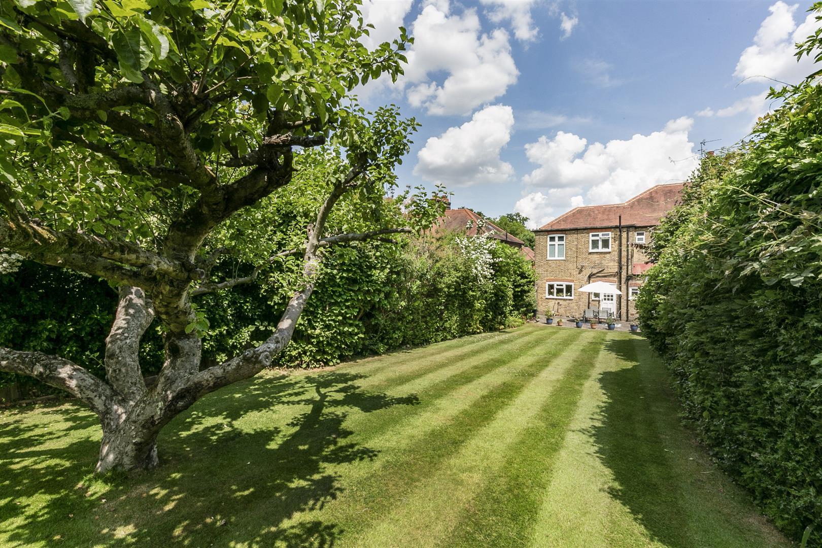 Image 26