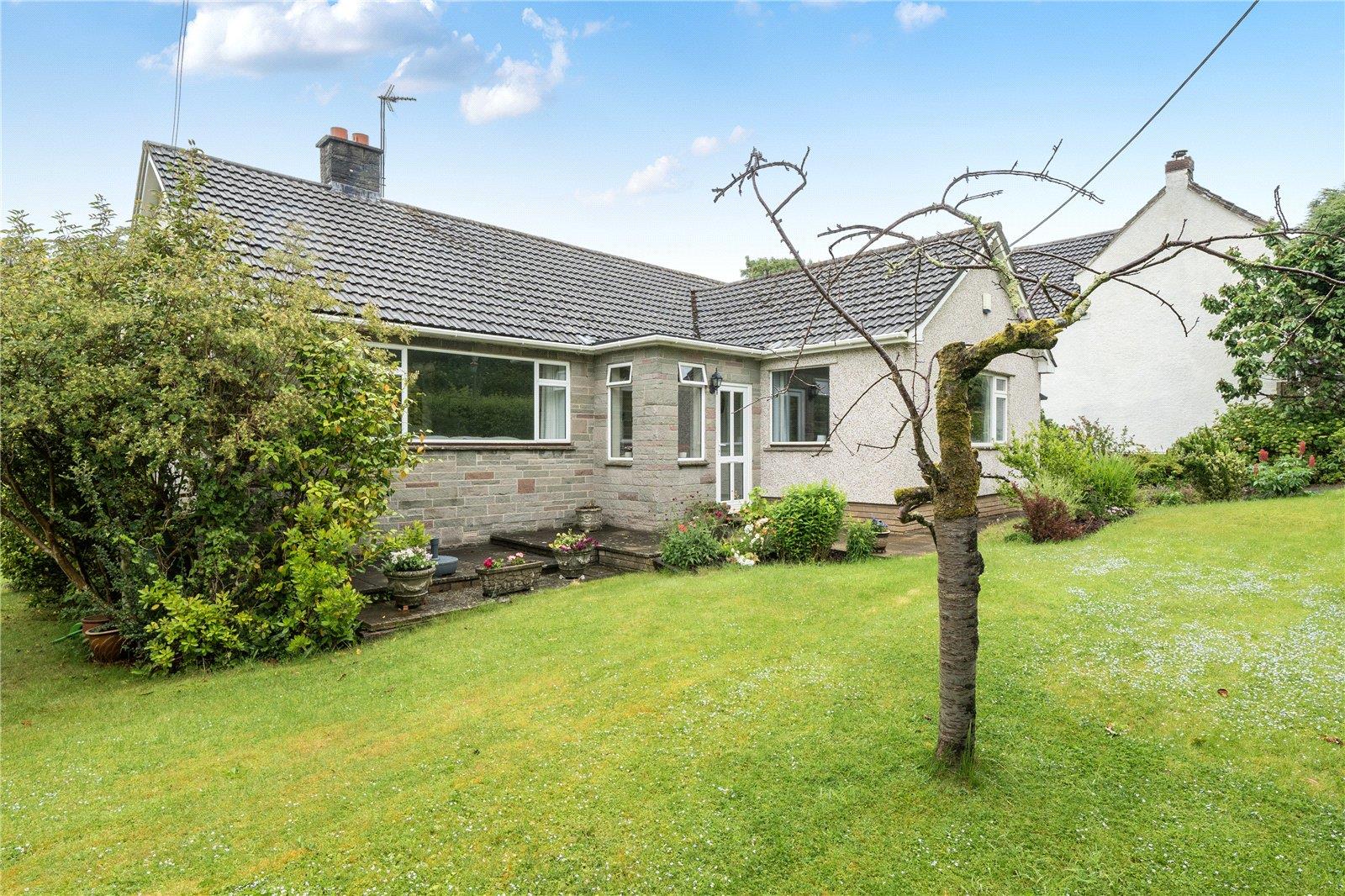Property Image 8265a73b-14e4-4397-8047-aaa63da899a0