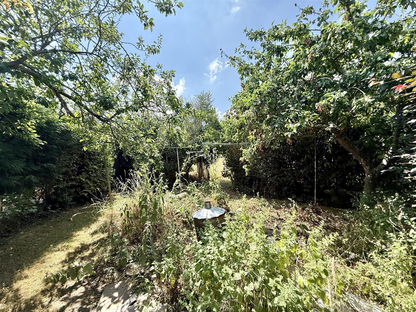 Property Image 829871d9-0a4f-492b-b7e1-455713c1668f