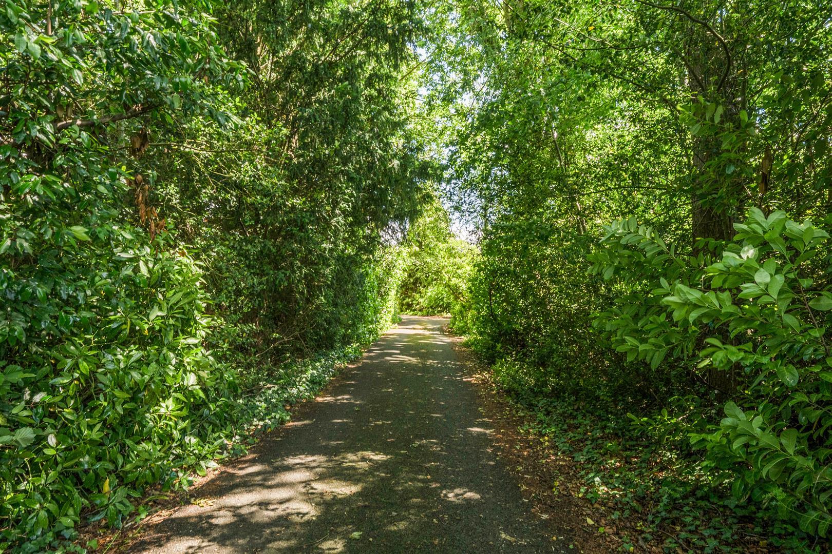 Property Image 82a22bd7-efdc-4840-a093-7afa95d95610