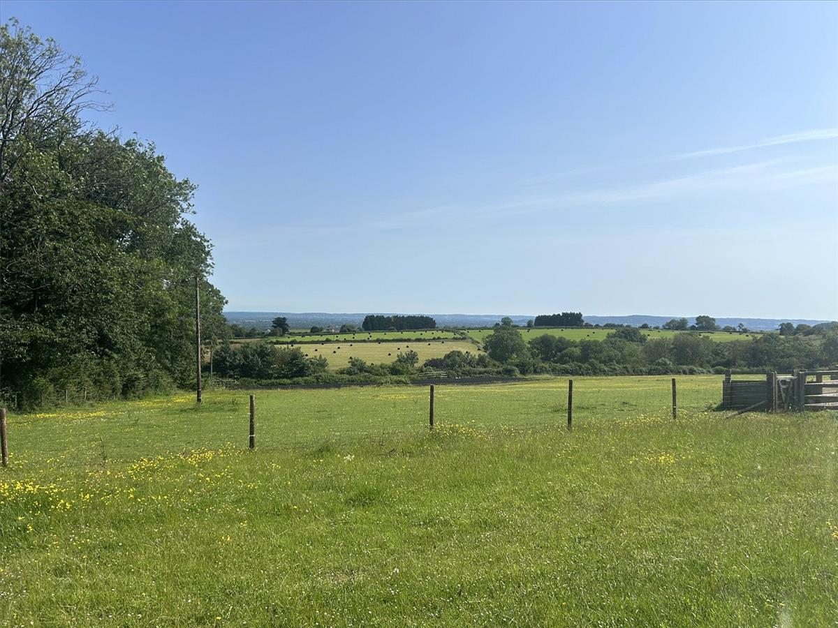Property Image 82aee377-14cf-4412-830a-c7f124c565df