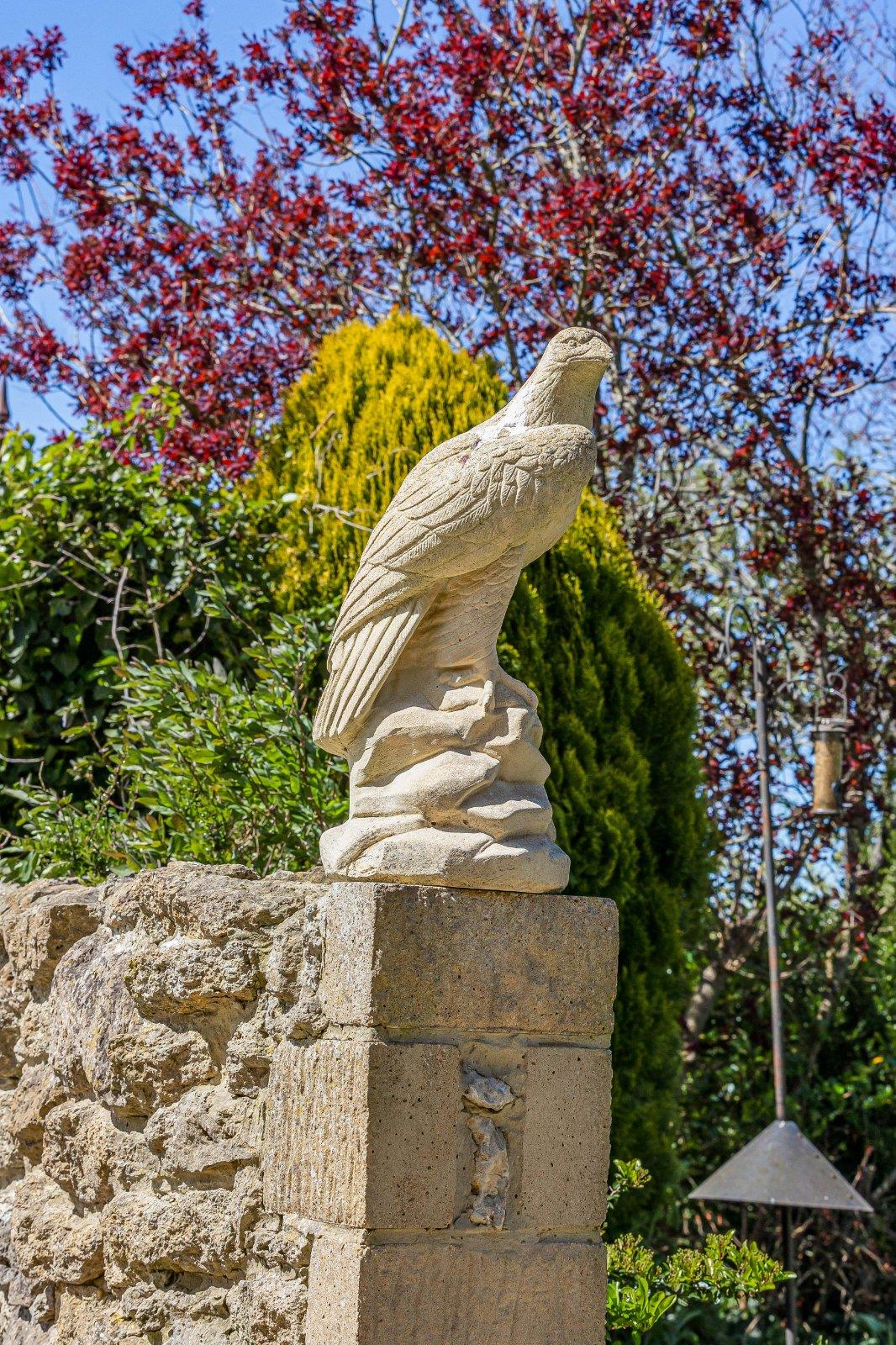 Image 56