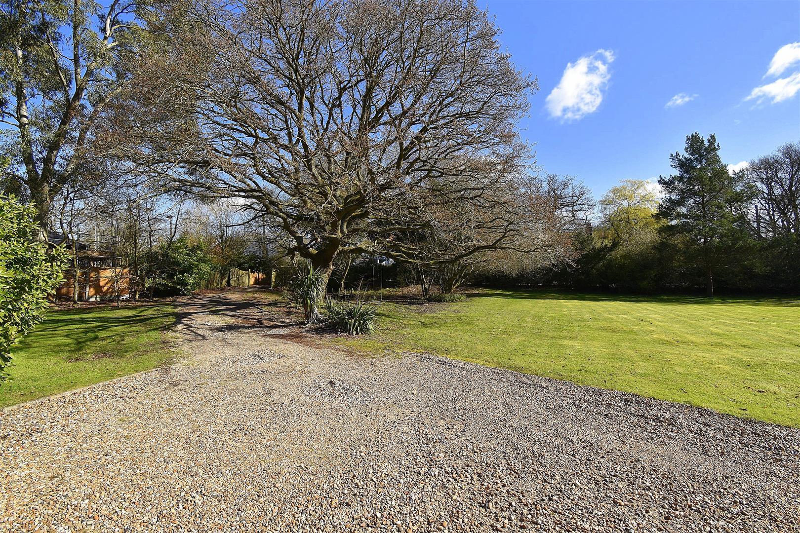 Property Image 82bf73d2-bd19-45fd-8276-7becd41d02b7