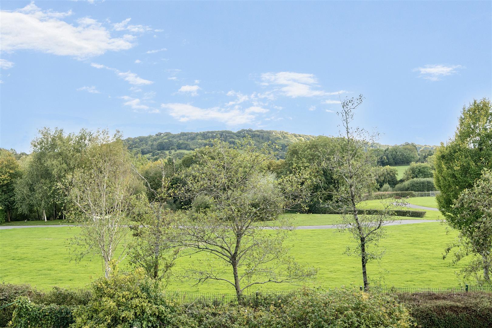 Property Image 82d265a0-c165-4468-aef9-535aee93545a
