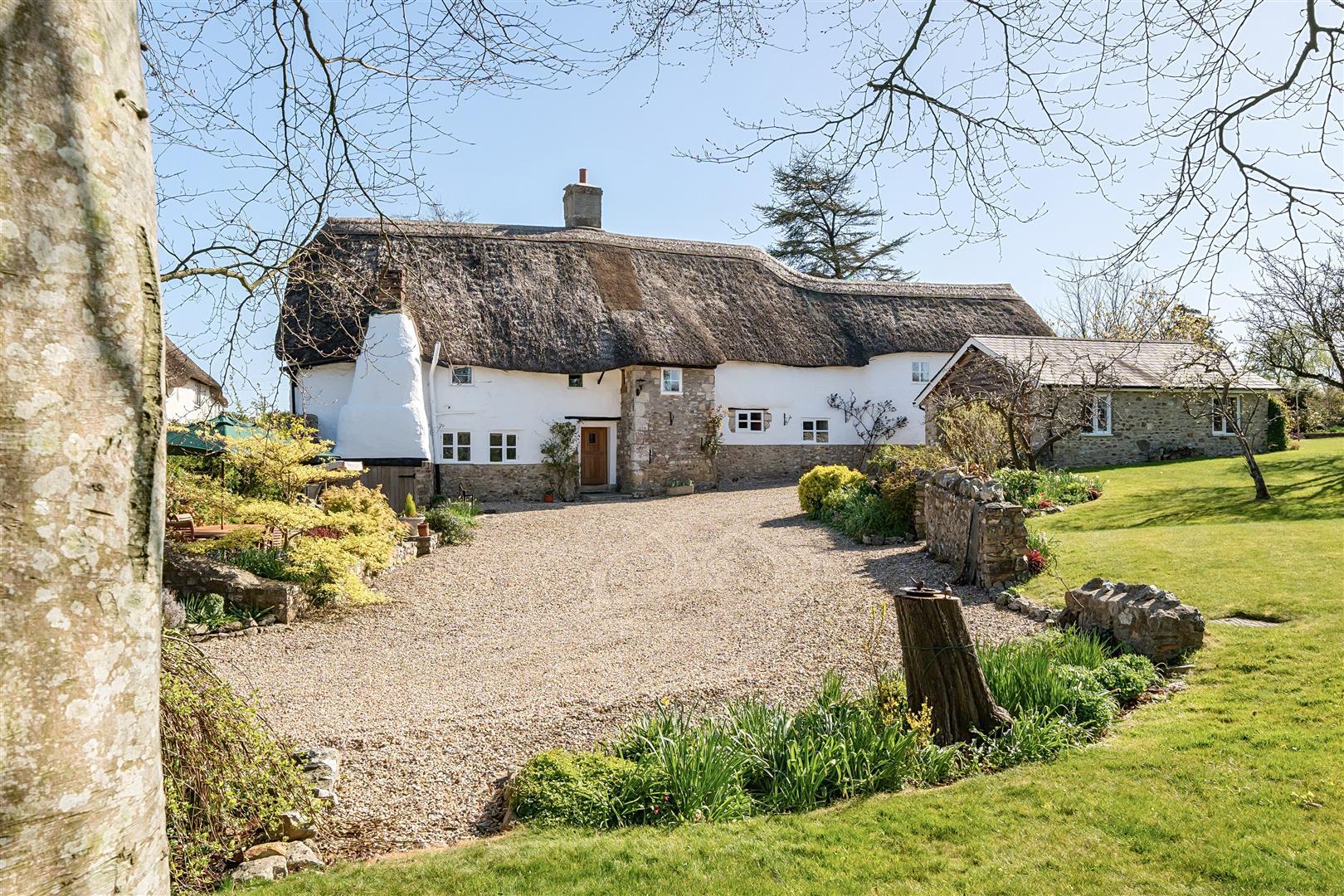 Property Image 82dd8037-cc44-48b4-96a2-357787dff5a3