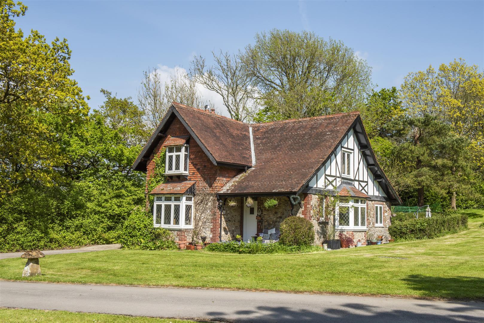 Image 27