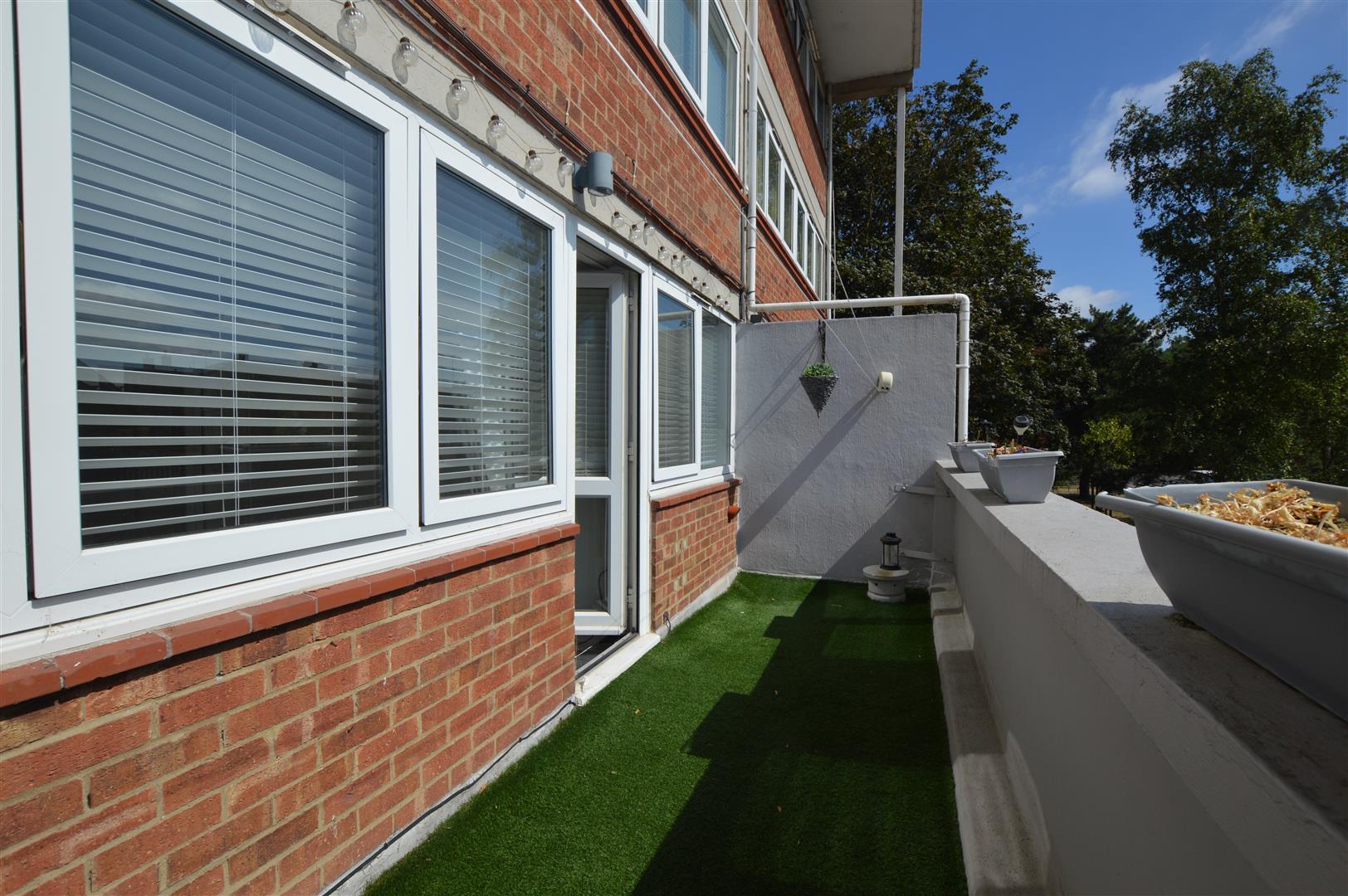 Image 12