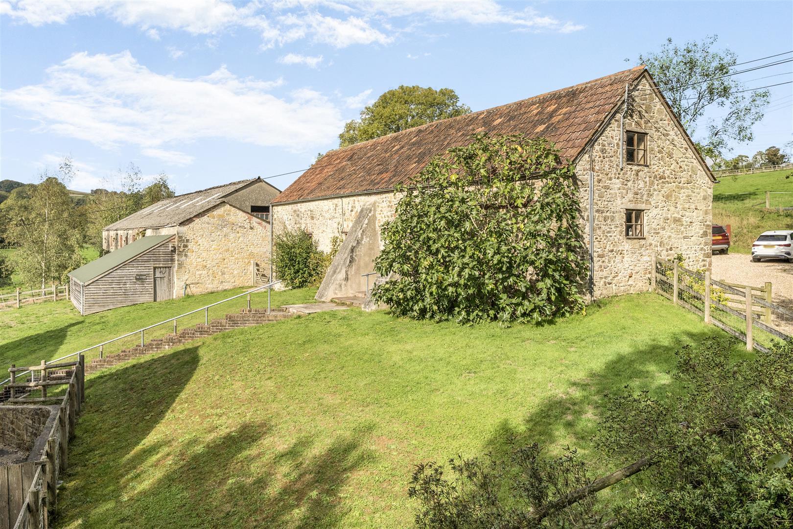 Image 15