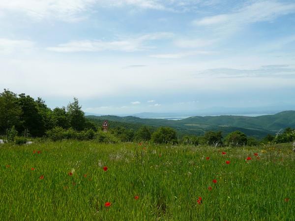Property Image 8326cc6b-b5f9-40ca-bab7-1f4c8d4cb7e8
