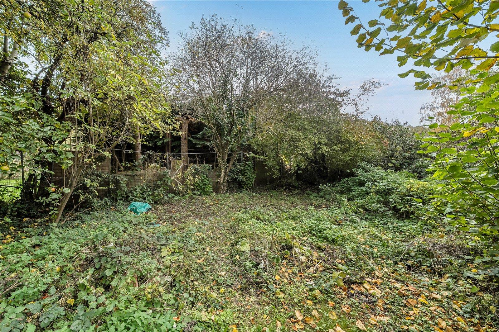 Property Image 8385044c-8706-49b6-bb87-46d13e1a4eb1