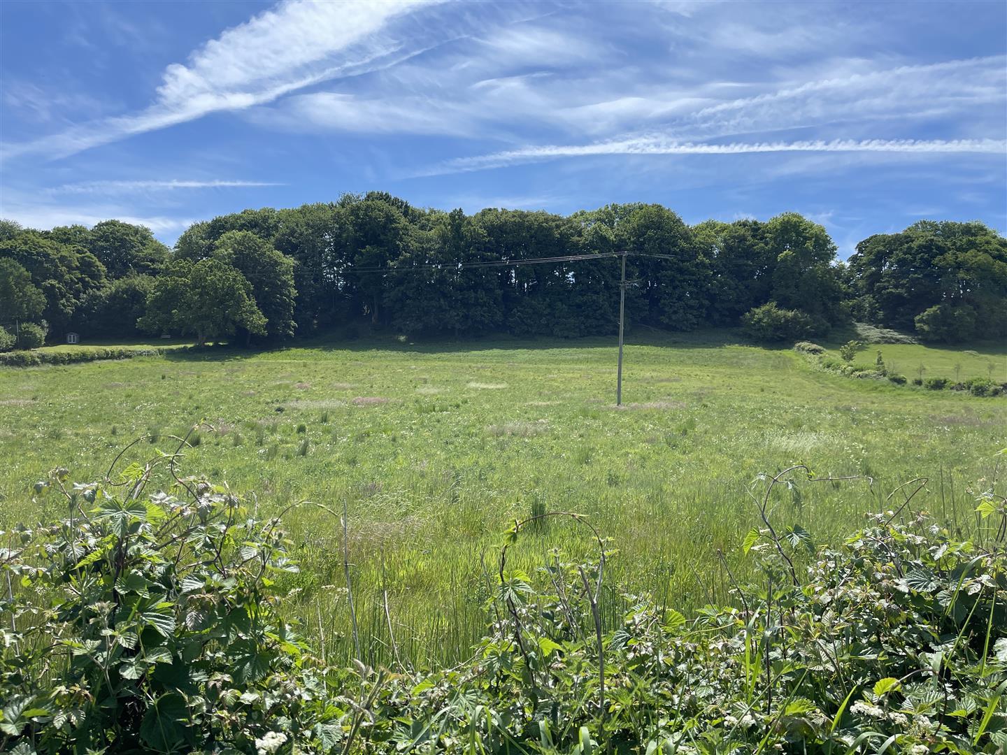 Property Image 83be5229-6d61-4812-a3a8-1cdf4bf349d8