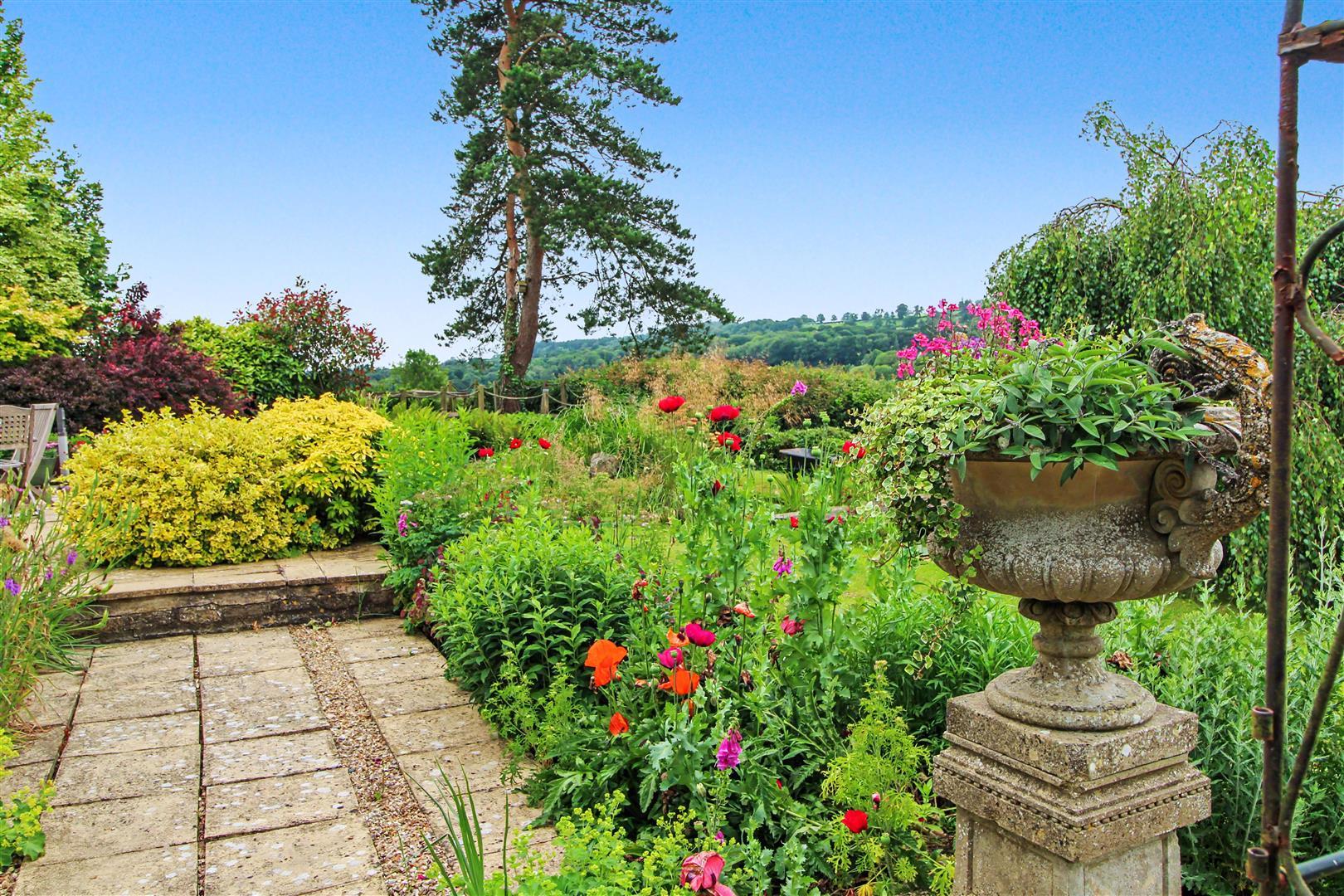 Property Image 83c2c44e-d37e-4248-bfa1-51fd6455011f