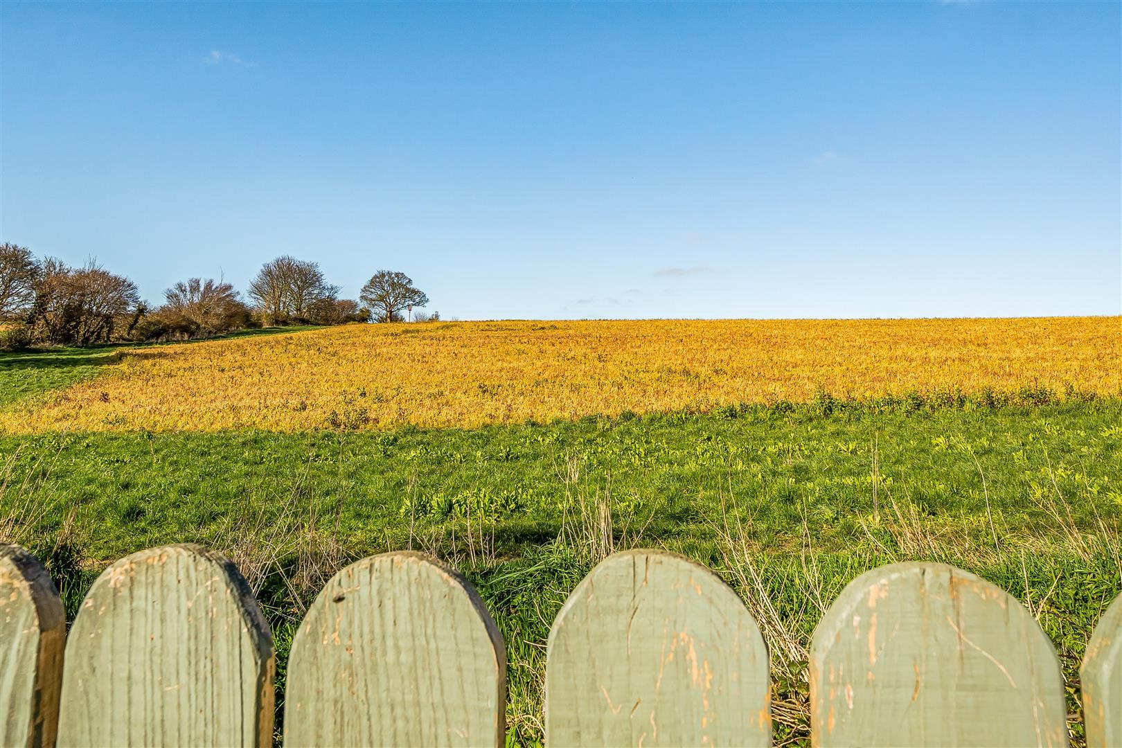 Property Image 84329cce-1238-4c42-8f20-4d3e26900c06