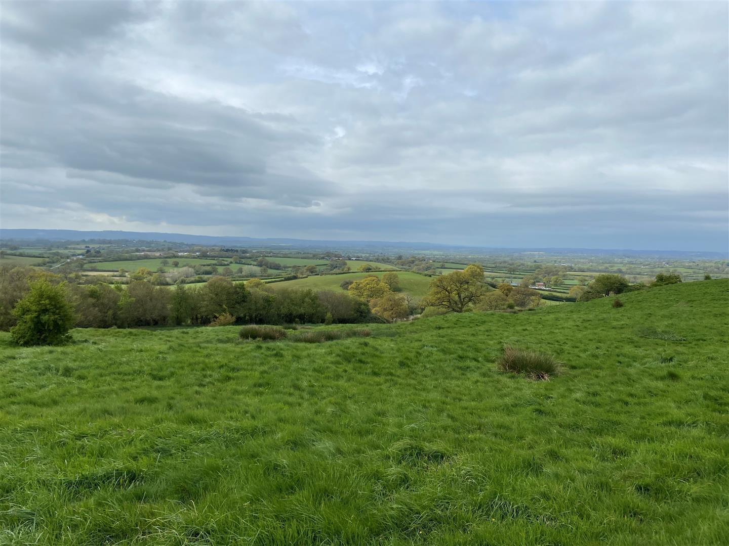 Property Image 84834fbf-946d-4a41-83c2-eb45fa13ab6e