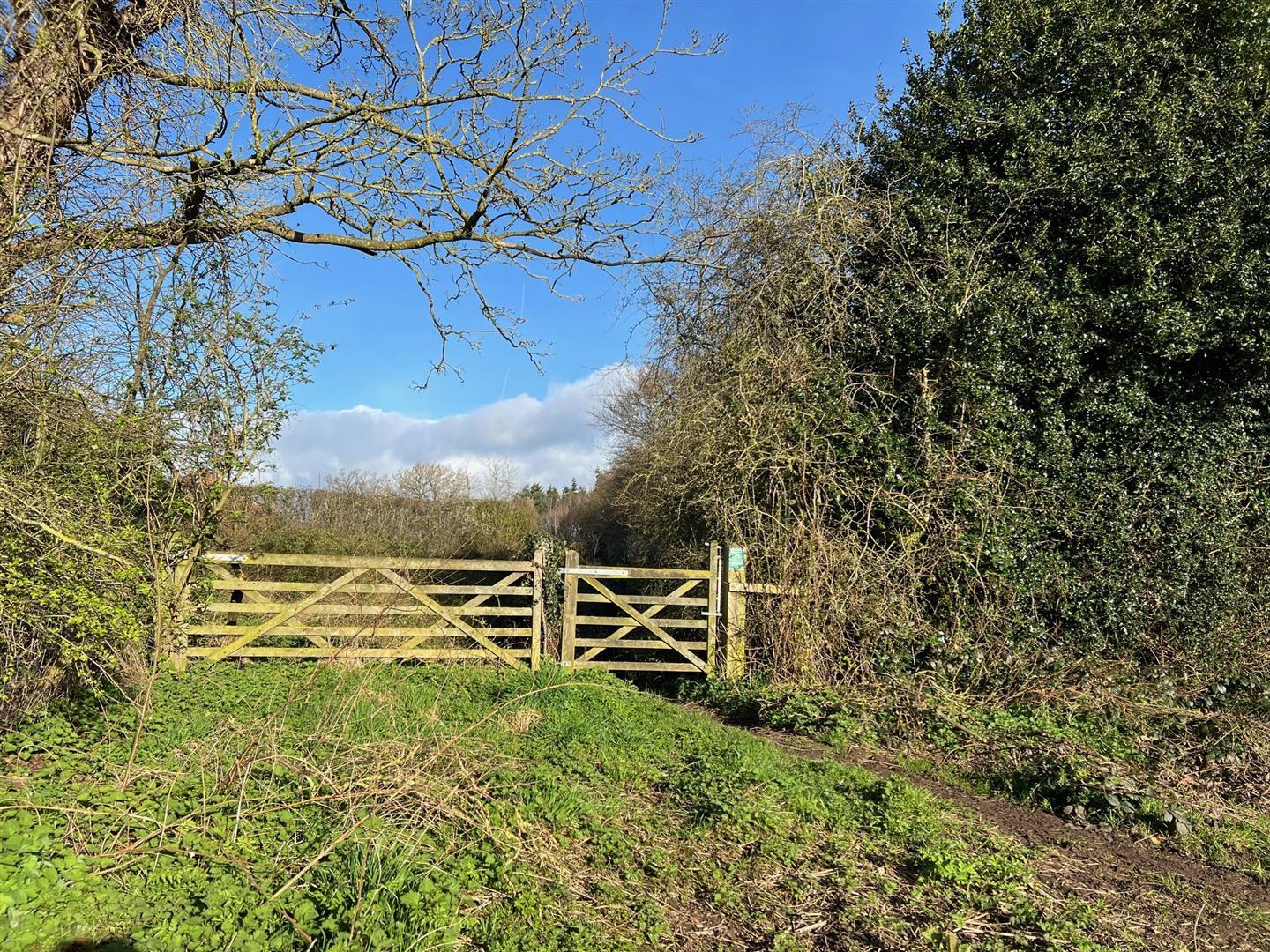 Property Image 85b95be1-f30f-470f-9da0-7d489ea5f363