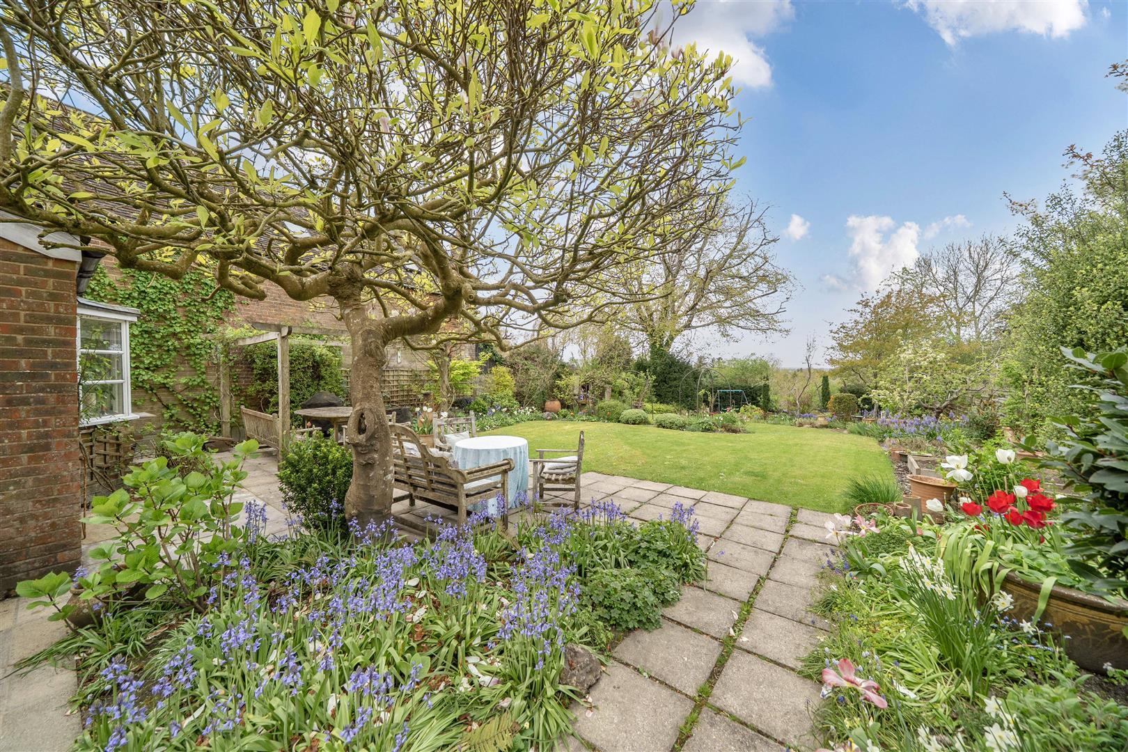 Property Image 85dd4c45-6030-4b9e-858e-5bd6dcd9f469