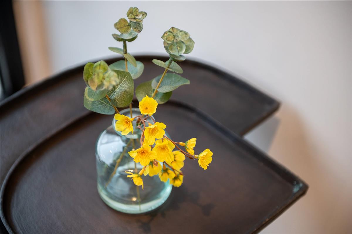 Property Image 85e91b56-0778-49cd-93d6-2a58062e714f