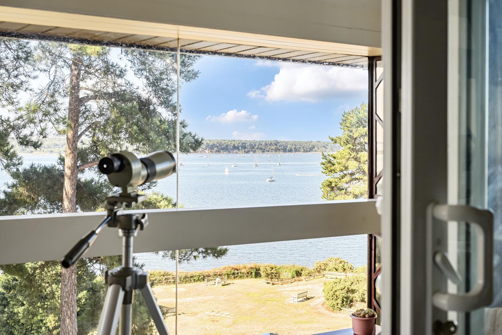 Property Image 85f36aeb-b19e-4618-8f43-dd4f8cf361dd