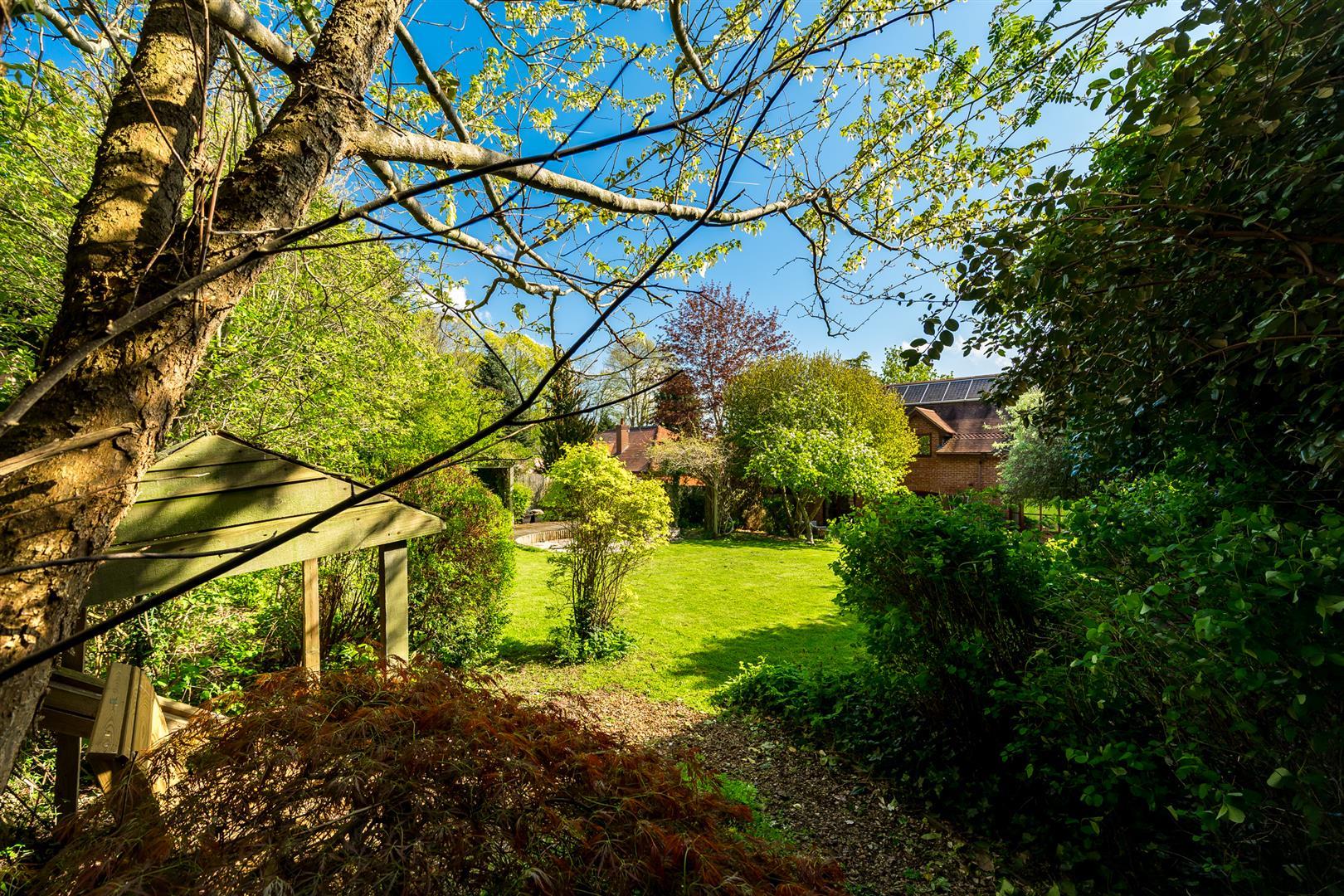 Property Image 85f7b4d0-87ee-4e8f-b0f0-4a7b58789bbe