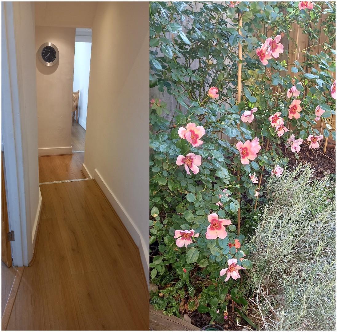 Property Image 8617d235-9c31-4737-852d-61a13b87ba35